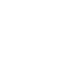 Icône de site web