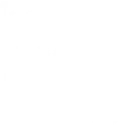 Icône de site web