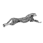 Jaguar<br />
